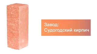 Кирпич гиперпрессованный полуторный М-250 оранжевый рустированный ложок  – 7