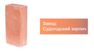 Кирпич гиперпрессованный одинарный М-250 оранжевый гладкий  – 10