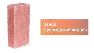 Кирпич гиперпрессованный одинарный М-250 красный гладкий  – 9