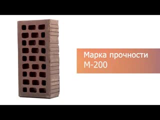 Кирпич облицовочный Нева одинарный Вертикальный Руст М200 VOLGABRICK – 12
