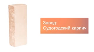 Кирпич гиперпрессованный одинарный М-250 слоновая кость рустированный ложок  – 6