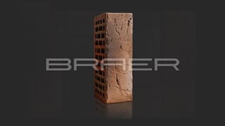 Кирпич облицовочный BRAER PRO 14.04.1 одинарный – 10