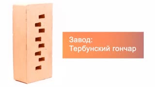 Кирпич облицовочный солома золотистый одинарный полнотелый гладкий М-300 Липецк – 11