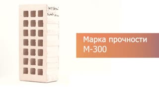Кирпич облицовочный белый одинарный дерево ЖКЗ – 9