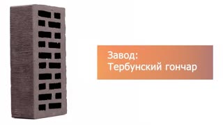 Кирпич облицовочный графит одинарный тростник М-200  Липецк – 4
