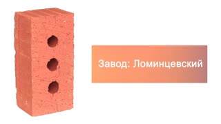 Кирпич строительный полнотелый с тех.пустотами полуторный М-150 рифленый Ломинцево – 9