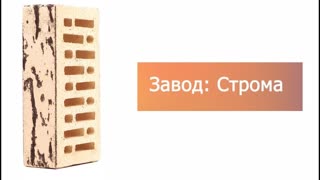 Кирпич облицовочный одинарный Берёза – 9