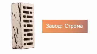Кирпич облицовочный одинарный Тополь – 8