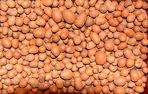 Керамзит фракция 5-10 биг-бег – 1