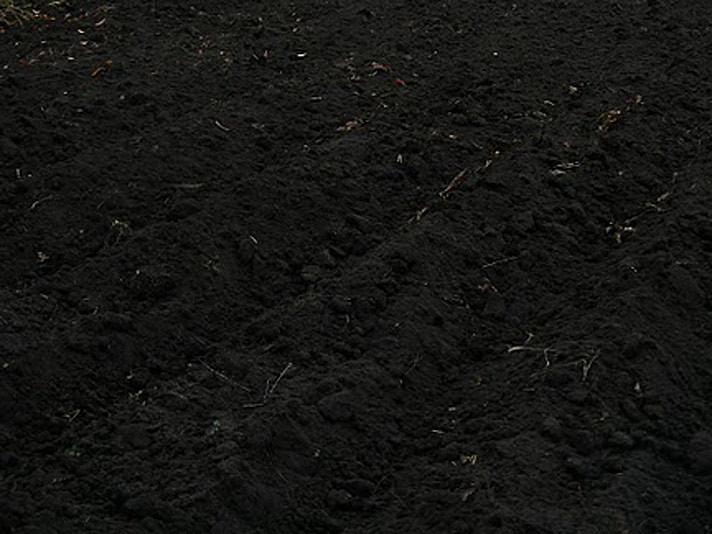 Чернозем – 1