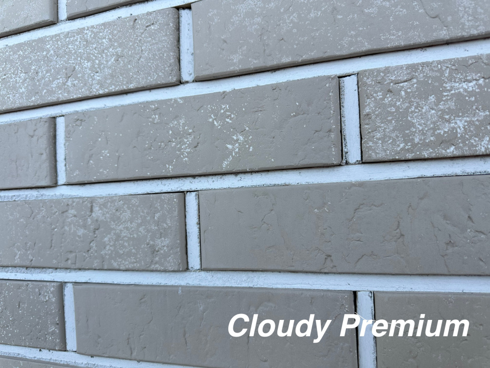 Изображение кирпич облицовочный cloudy premium одинарный красная гвардия