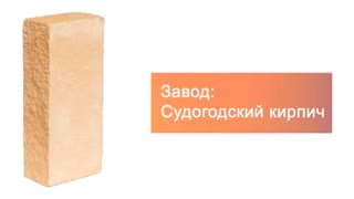 Кирпич гиперпрессованный одинарный М-250 солома рустированный ложок  – 8