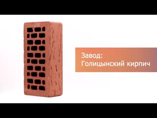 Кирпич облицовочный терракот одинарный руст М-175 Голицыно – 3