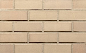 Кирпич клинкерный Feldhaus Klinker "Sabioso liso K250RF90" гладкий 240х90х65  – 1