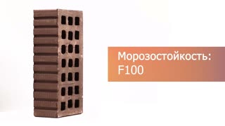 Кирпич облицовочный коричневый одинарный ольха М-150 Саранск – 10