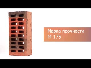 Кирпич облицовочный Flash Аккорд одинарный Coral М-175 Красная Гвардия – 9
