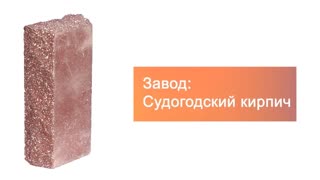 Кирпич гиперпрессованный одинарный М-250 терракот рустированный угол  – 9
