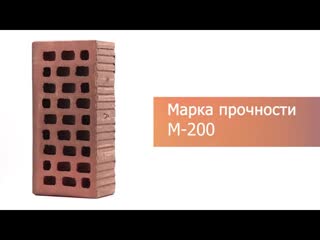 Кирпич облицовочный Нева одинарный гладкий М200 VOLGABRICK – 9