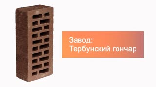 Кирпич облицовочный корица одинарный тростник М-200 Липецк – 9