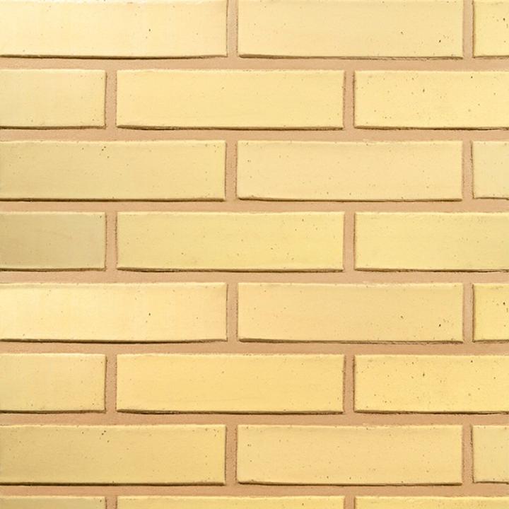 Изображение кирпич облицовочный керамический terca (wienerberger) safari гладкий 250х85х65 