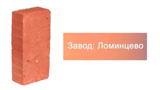 Кирпич строительный полнотелый одинарный М-150 рифленый Ломинцево – 9