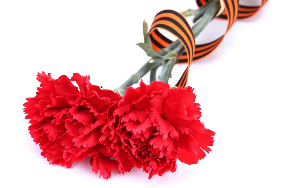 carnations-st-george-s-ribbon-isolated-white_392895-492656.jpg carnations-st-george-s-ribbon-isolated-white_392895-492656.jpg