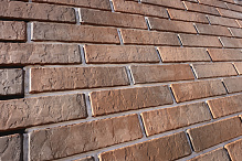 Кирпич облицовочный одинарный Бронза Терра Флеш – 7