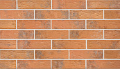 Кирпич облицовочный Коралл одинарный Торкрет Терекс – 1