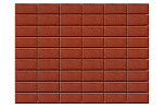 Тротуарная плитка Прямоугольник 200х100х60 красный – 1