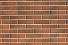 Кирпич облицовочный одинарный Красный Терра Флеш – 5