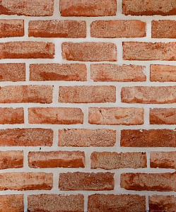 Кирпич ручной формовки Faber Jar Петровский Штандарт Коралловый 215х102х65 – 2