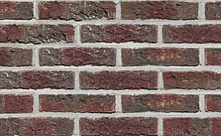 Кирпич облицовочный Terca (Wienerberger) BLAUW-ROOD GENUANCEERD ручная формовка 210х100х65  – 2