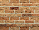 Кирпич ручной формовки Троицкое WDF 215x50x65 – 1