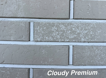 Кирпич облицовочный Cloudy Premium одинарный Красная гвардия – 2