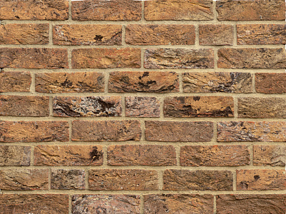 Кирпич ручной формовки Архангелькое WDF 215x50x65 – 1