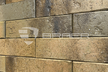 Кирпич облицовочный BRAER PRO 3.03 одинарный – 4