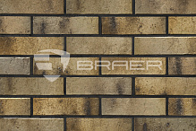 Кирпич облицовочный BRAER PRO 3.03 одинарный – 5