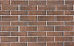 Кирпич облицовочный одинарный Бронза Терра Флеш – 6