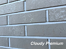 Кирпич облицовочный Cloudy Premium одинарный Красная гвардия – 1