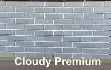 Кирпич облицовочный Cloudy Premium одинарный Красная гвардия – 4
