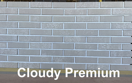 Кирпич облицовочный Cloudy Premium одинарный Красная гвардия – 4
