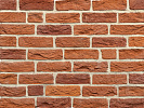 Кирпич ручной формовки Благодать WDF 215x50x65 – 1