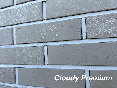 Кирпич облицовочный Cloudy Premium одинарный Красная гвардия – 1