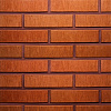 Кирпич облицовочный керамический Terca (Wienerberger) RED шероховатый 250х85х65  – 1