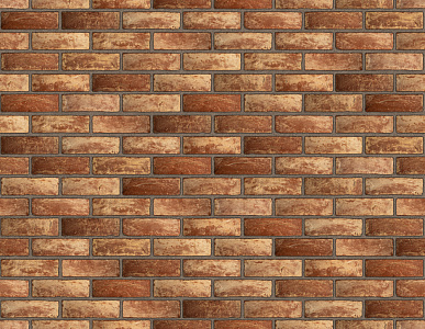 Кирпич ручной формовки Baksteen Античный 210х100х65 – 4