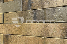 Кирпич облицовочный BRAER PRO 3.03 одинарный – 4