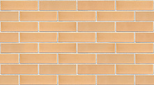 Кирпич облицовочный солома одинарный гладкий М-175 УС Воротынск – 6