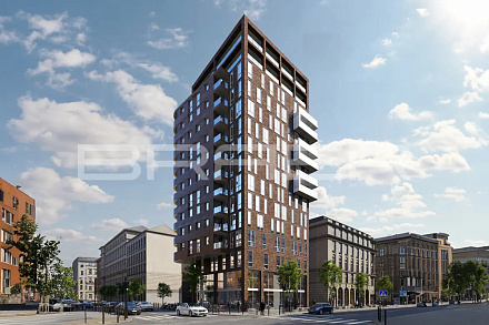 Кирпич облицовочный BRAER PRO 78.09 одинарный – 8