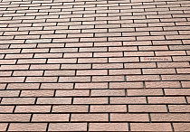 Кирпич облицовочный Готика одинарный Дуб М-200 ВКЗ – 8