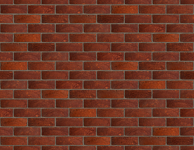 Кирпич ручной формовки Baksteen Маастрихт 210х100х65 – 2